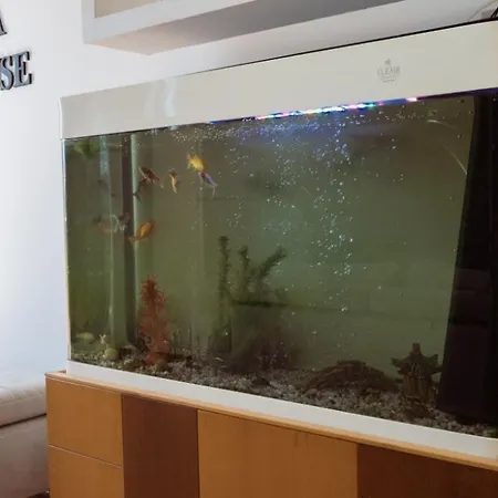 Albjona بيت ضيافة *